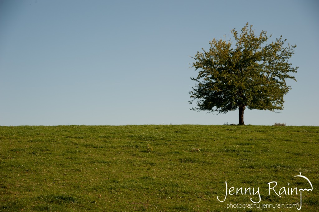 MiddleVA_20111016_8503-2