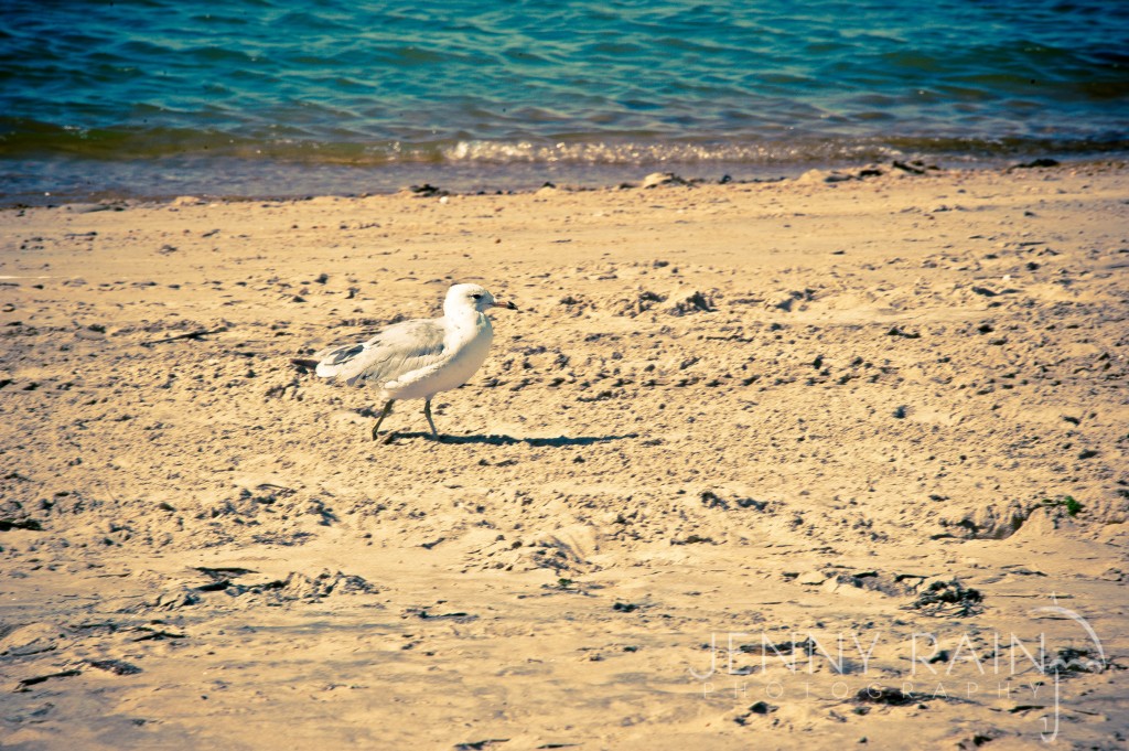BotGardenVABeach_20110715_5425